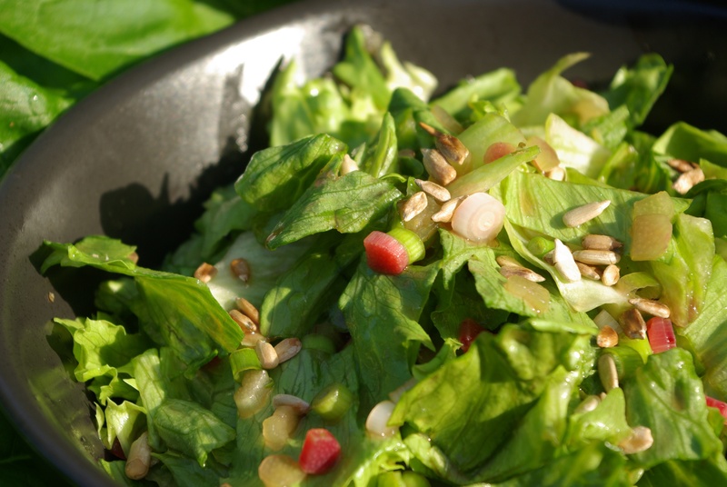 plant part, herb, salad, healthy food, leaf, indoors, preparation, rhubarb, wellbeing, no people, food and drink, healthy eating, vegetable, close-up, still life