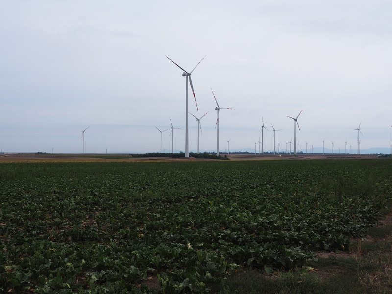 weinviertel, technology, wind power plant, scenics - nature, rural scene, wind power, outdoors, power generation, nature, agriculture, wind turbine, fuel and power generation