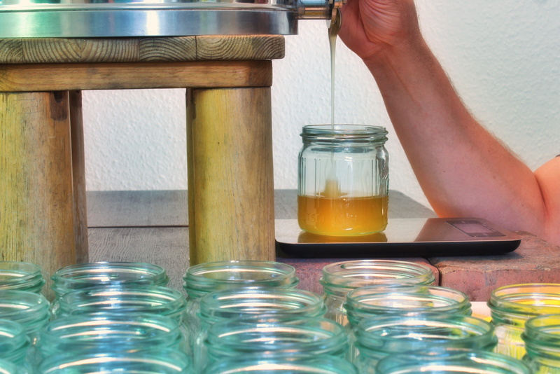 4K, real people, refreshment, healthy, hobby, flow, sweet, cookbook, beekeeping, always, container, honey product, self catering, honey filling, delicious