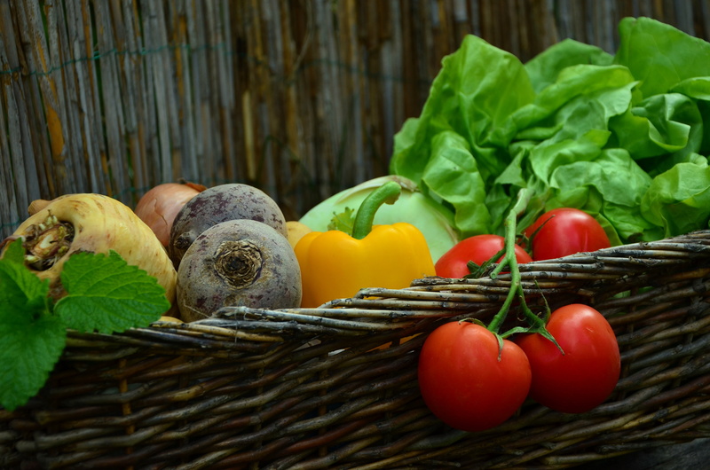 lot, harvest, vegetables, wood - material, color, wellbeing, frisch, vegetable, garden, food, healthy eating, wicker, tomato, organic, vegetarian, 4K