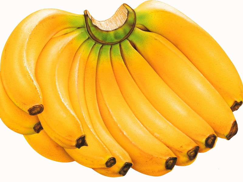 ripe, white background, isolated, organic, vegetable, pumpkin, studio shot, backgrounds, yellow, close-up, nature, freshness, food, peel, indoors, tropical Climate