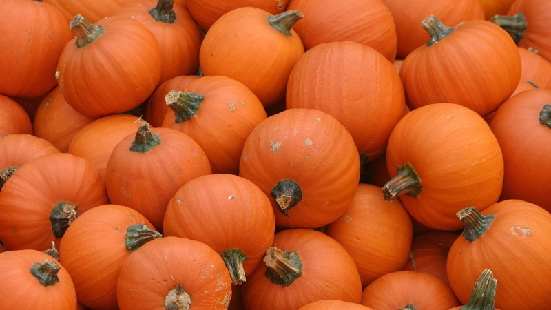dessert, sweet, food, 1080P, delicious, cake, pumpkin