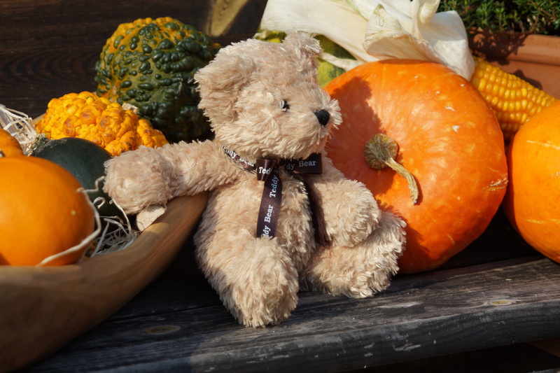 toys, animal representation, day, furry teddy bear, food and drink, teddy, freshness, food, orange, no people, wood - material, pumpkin, representation