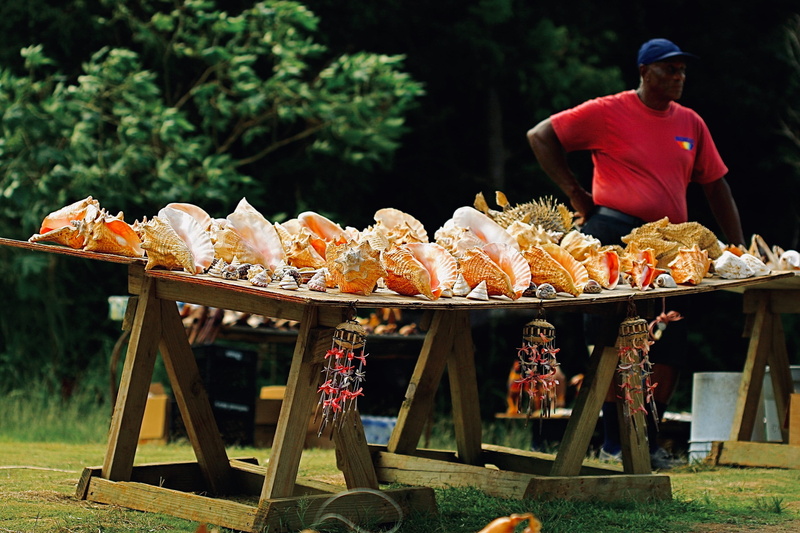 confectionery, tree, leisure activity, vendor, bread, clothing, man, 2K, shell, blossom, flower, barbecue, adult, preparing food, real people, sea, wood