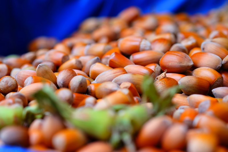 day, indoors, fruit, Hazelnuts, vegetable, abundance, dried fruits and nuts, food, selective focus, Plantations, freshness, no people, blue, persimmon