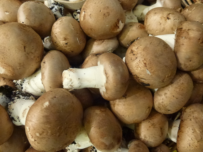 close-up, indoors, mushroom, delicious, large group of objects, lunch, wellbeing, food, brown, vegetable, fresh, healthy eating, no people, food and drink