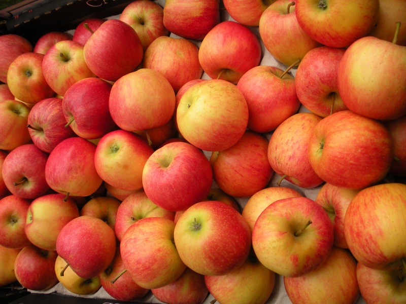ripe, market, freshness, fruit crate, healthy eating, fruit, day, high angle view, yellow, no people, wellbeing, sale, greengrocer, for sale, 2K, food tasty