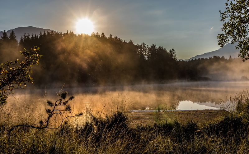 scenics - nature, idyllic, non-urban scene, fog, carinthia, Austria, sky, reflection, reflection lake, sun, no people, sunbeam, sunlight, water, plant