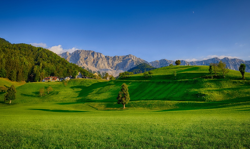 houses, non-urban scene, landscape, land, nature, village, mountain, austria, alm, valley, cottages, plant, carinthia, grass, tree, 5K, tranquility, meadow