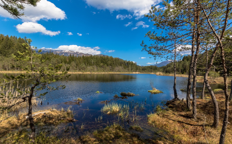5K, tranquil scene, sky, tranquility, Water, reflection, growth, scenics - nature, forest, plant, Nature, egelsee, non-urban scene, beauty in nature, Lakes