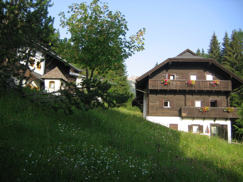 green color, austria, field, tree, house, grass, home, green, roof, plant, 1080P, nature, carinthia, outdoors, building, sonnleitn, growth, land, residential district