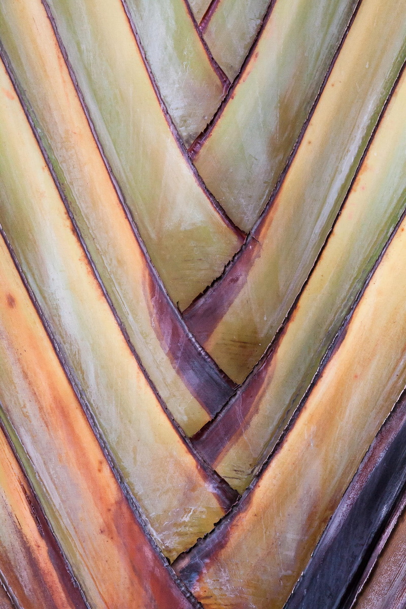 no people, nature, wood - material, shape, pattern, multi colored, banana, marble, full frame, still life, 1080P, close-up, high angle view, for sale