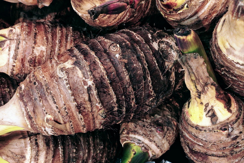 full frame, healthy eating, taro root, wood - material, vegetable, food and drink, still life, day, pattern, no people, freshness, animal, cultivated, close-up