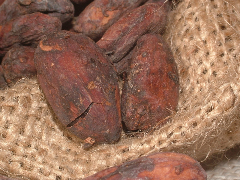 chocolate, cocoa bean, backgrounds, meat, 2K, taro, indoors, full frame, beans, dew, plant, retail, still life, market, rough, cacao, cacao beans, textured