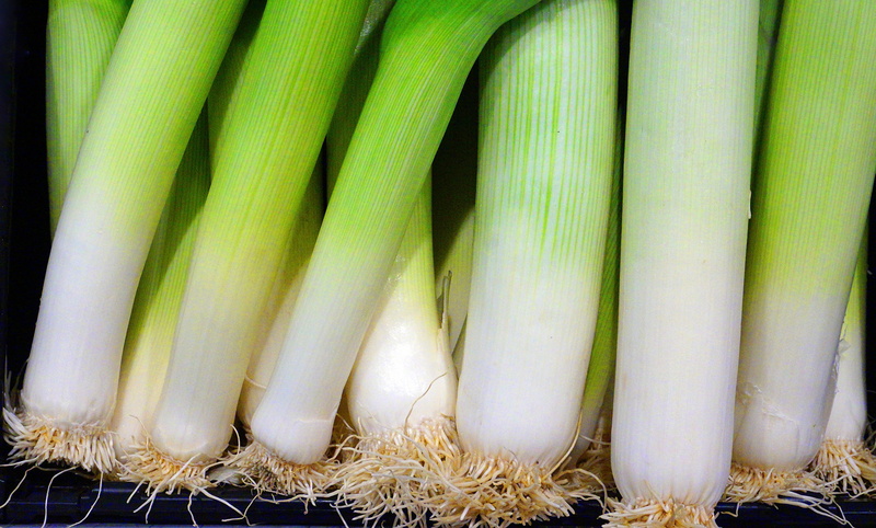 food and drink, green color, vegetable, bio, for sale, plant, freshness, no people, abundance, still life, spring onion, organic, 4K, raw food, fresh
