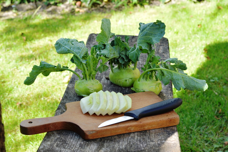 eat, food, wellbeing, plant, high angle view, vegetables, a vegetable, a garden plant, 4K, wood - material, garden, dice, raw food, day, freshness, fresh