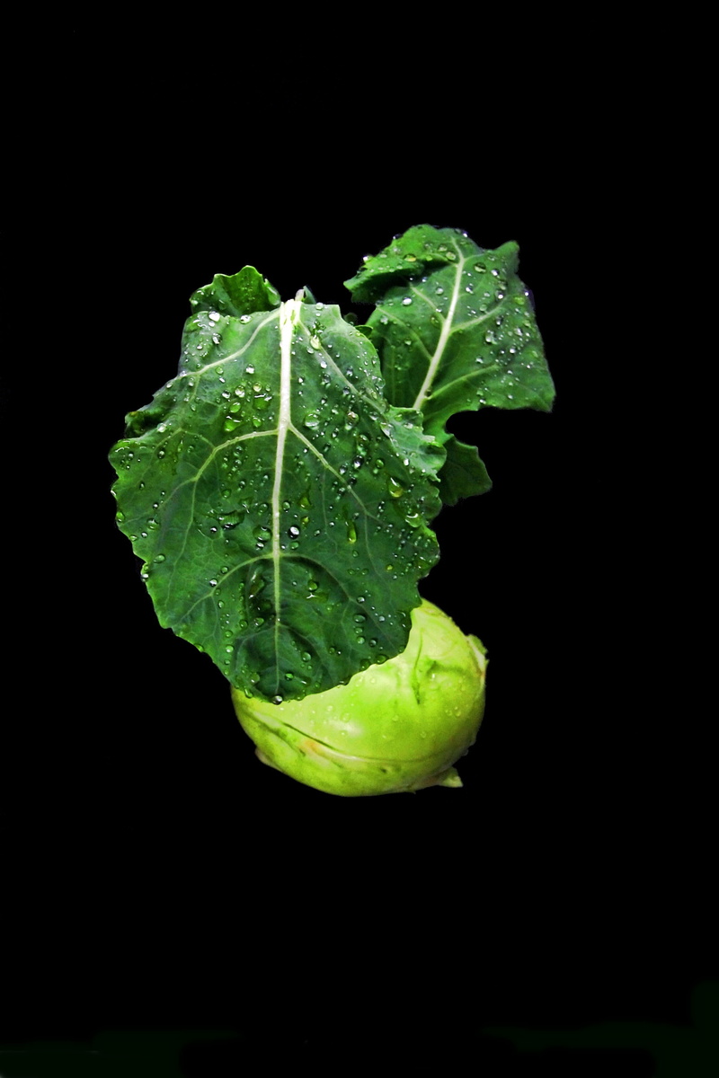 freshness, drop, close-up, vegetable, no people, black background, vegetables, food, green color, wellbeing, eat, kohlrabi, nature, plant part, copy space