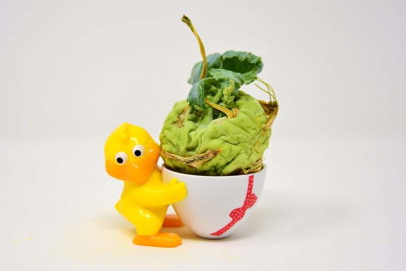 green color, 5K, representation, withered, still life, close-up, funny, vegetable, creativity, egg cups, no people, single object, vegetables, animal themes