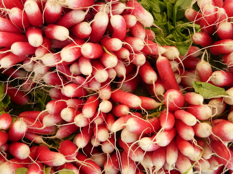root vegetable, vegetables, healthy eating, food, wellbeing, food and drink, turnip, healthy, vegetable, day, large group of objects, freshness, 2K, no people