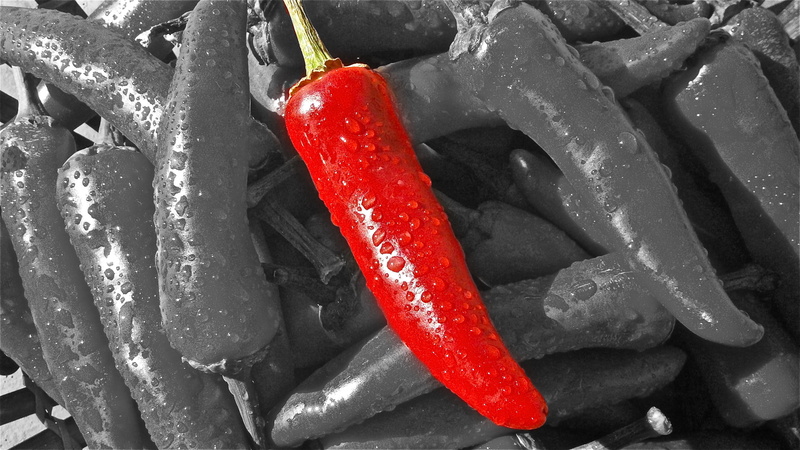 indoors, red, outdoors, pepper, chili, healthy eating, full frame, red chili pepper, chili pepper, photo, day, still life, spice, selective, water, hot