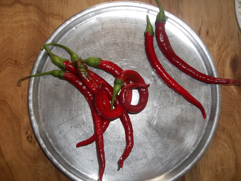 spicy, chilli, directly above, table, Hot, 4K, red, indoors, still life, wellbeing, Peppers, vitamin, no people, ingredient, chili pepper, Chili, pepper
