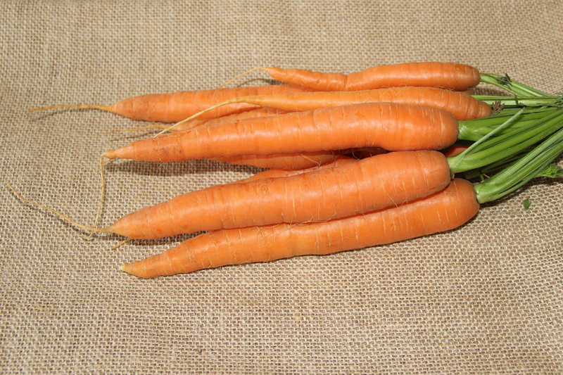 organic, orange color, vegetable, federal carrots, Food, group of objects, agriculture, root vegetable, healthy eating, Eat, wellbeing, high angle view