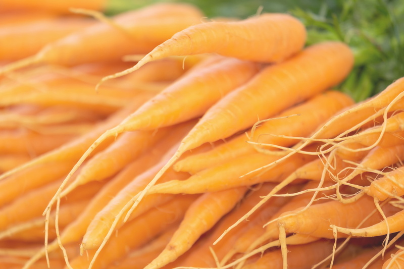 large group of objects, raw food, orange, no people, freshness, organic, agriculture, vegetable, carrot, food and drink, farmers market, carrots, red carrots