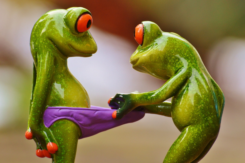 spice, focus on foreground, freshness, frogs, chili pepper, close-up, cute, green color, indoors, animal representation, representation, jalapeno pepper
