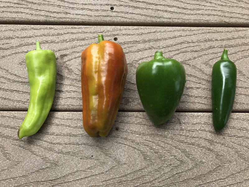 close-up, pepper, spice, food and drink, vegetable, chili pepper, day, freshness, indoors, vegetables, wood - material, healthy eating, still life, 4K