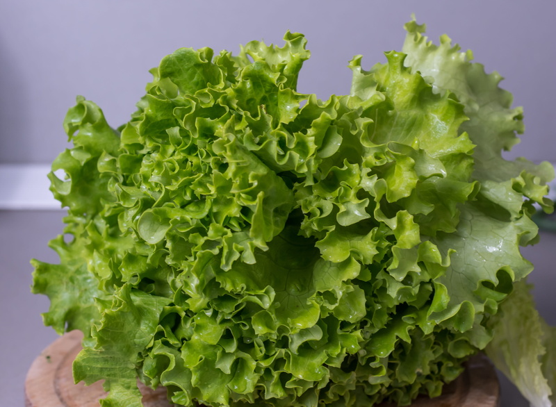 focus on foreground, indoors, raw, plant, vegetarian, Vegetables, food, harvest, green, 5K, Healthy, organic, Food, wellbeing, day, growing, no people