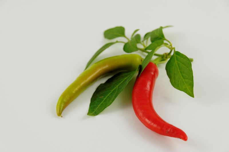 white background, healthy eating, eat, paprika, pepperonie, group of objects, jalapeno pepper, pepper, red, green color, freshness, wellbeing, spice, plant part