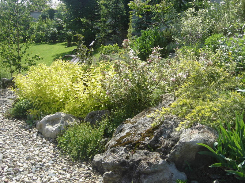 3d and abstract, 1080P, lush, stone, beauty, nature, plants, design, garden, landscape, cedrus, green, spiraea