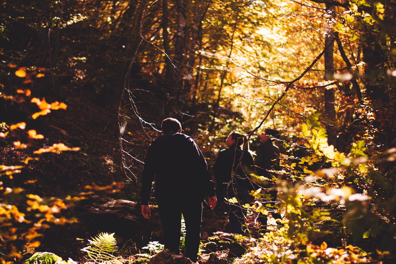 plant, nature, walking, hike, real people, lake, travel, sunset, fun, tree, bokeh, lifestyles, people, one person, mountain, adult, full length, defocu