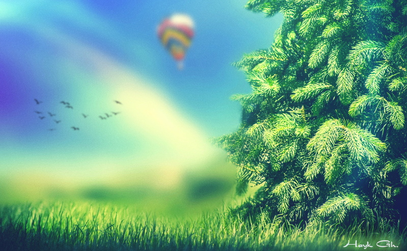 Aero, land, grass, environment, defocus, tranquility, blueshadows, outdoors, plant, Creative, flying, colors, colorsdof, 4K, sony, focus on foreground