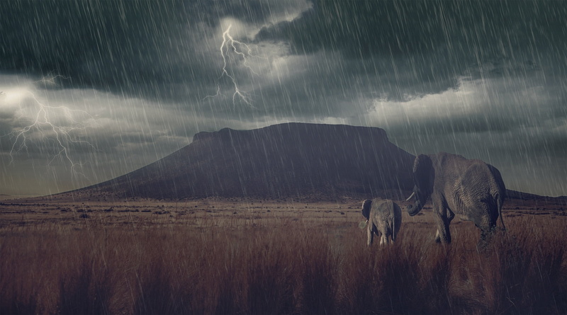 elephant, savannah, baby, Calf, storm, thunder, Lightning, artwork, Elephants, Photoshop, 2K, mountain, art, rain