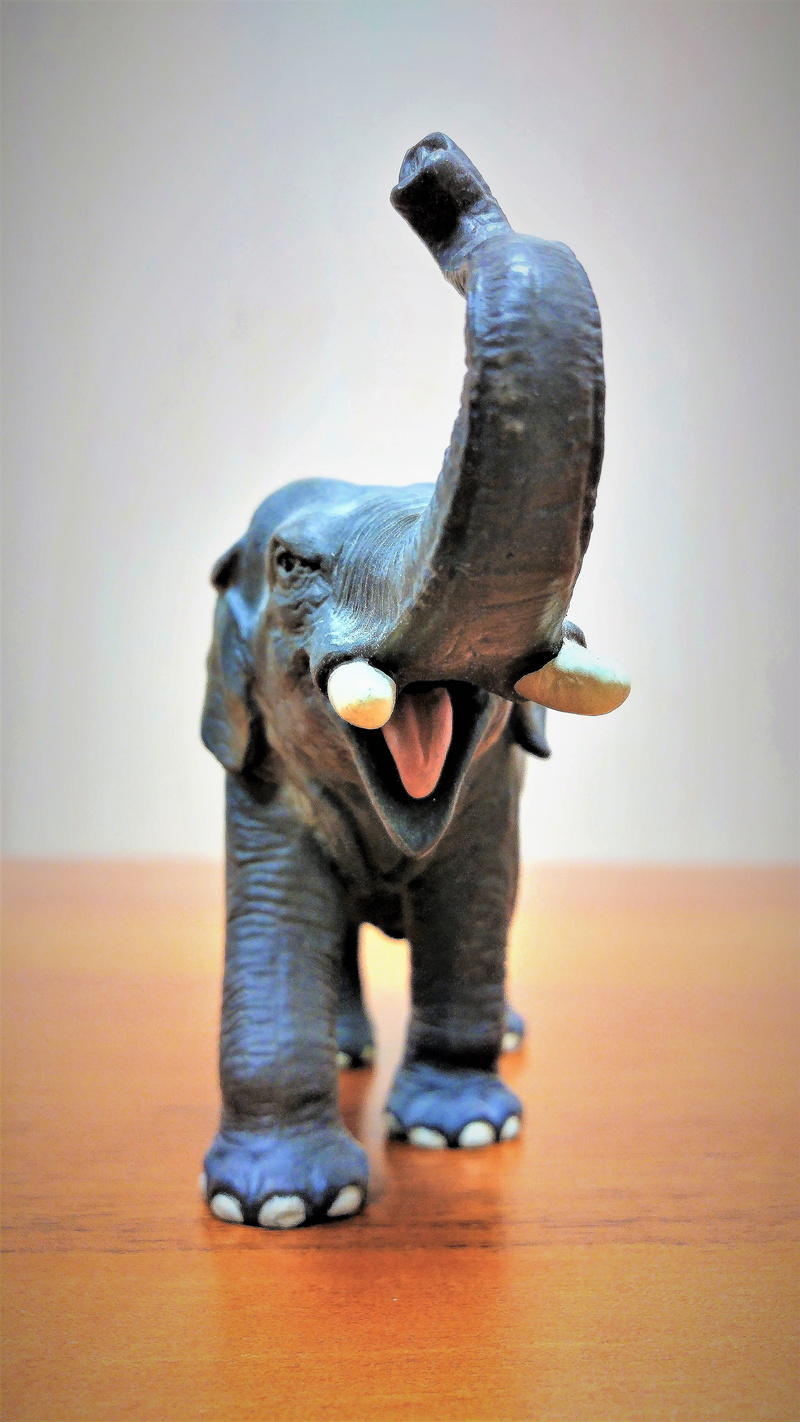 animals, art and craft, vertebrate, studio shot, full length, front view, out of focus, representation, plastic, animal wildlife, standing, one animal