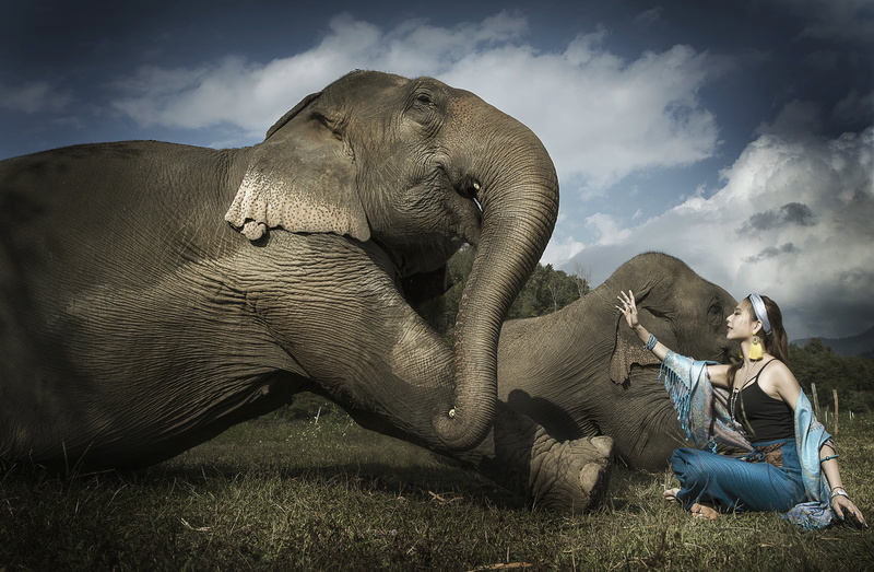 model, Asian, women, animals, 1080P, elephant