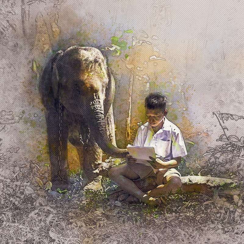 digital enhancement, mid adult, nature, wildlife, front view, outdoors, 2K, males, men, animal, digital creation, animal trunk, photo art, male, casual clothing