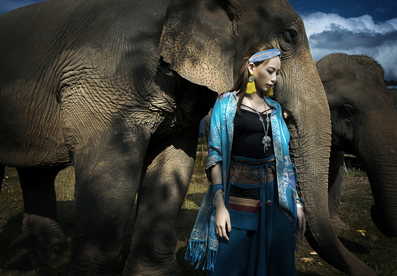 Asian, elephant, 1080P, girl