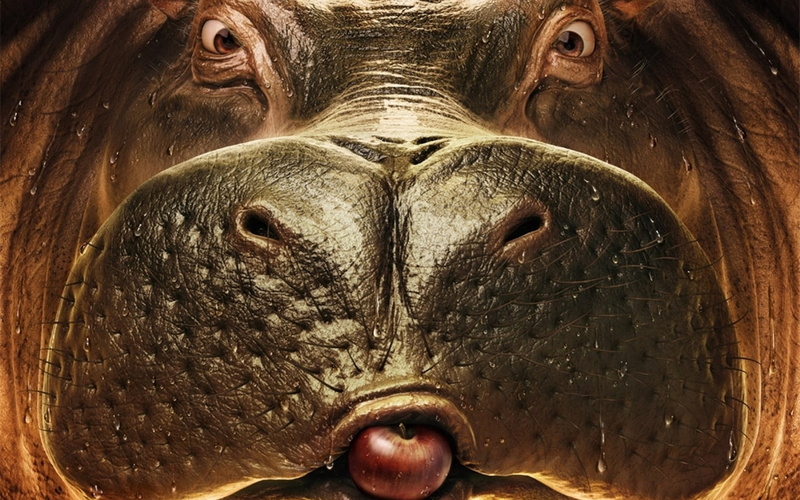 nature, portrait, close-up, indoors, animal mouth, body part, animal, animals In The Wild, studio shot, wildlife, digital composite, apple, eye, brown