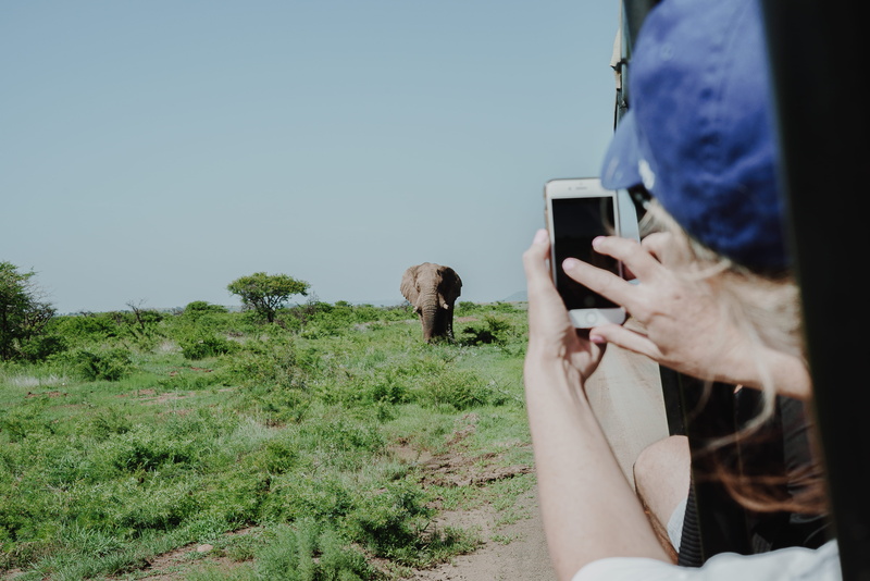 person, land, brown, holding, one person, plant, photo, photographing, wireless technology, iphone, activity, smart phone, mobile phone, 4K, connection