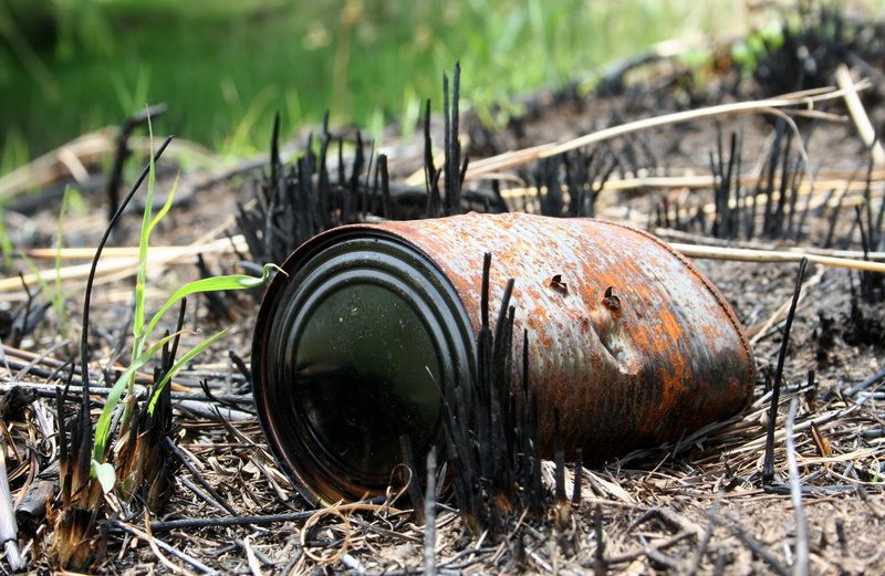 outdoors, metal, devastation, rusty, damaged, abandoned, focus on foreground, growth, burnt, obsolete, renewal, close-up, no people, container, damage