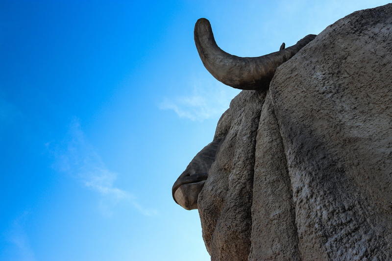 leisure activities, herbivorous, adventure, blue, outdoors, day, wildlife, one animal, statue, domestic animals, cloud - sky, livestock, elephant, no people