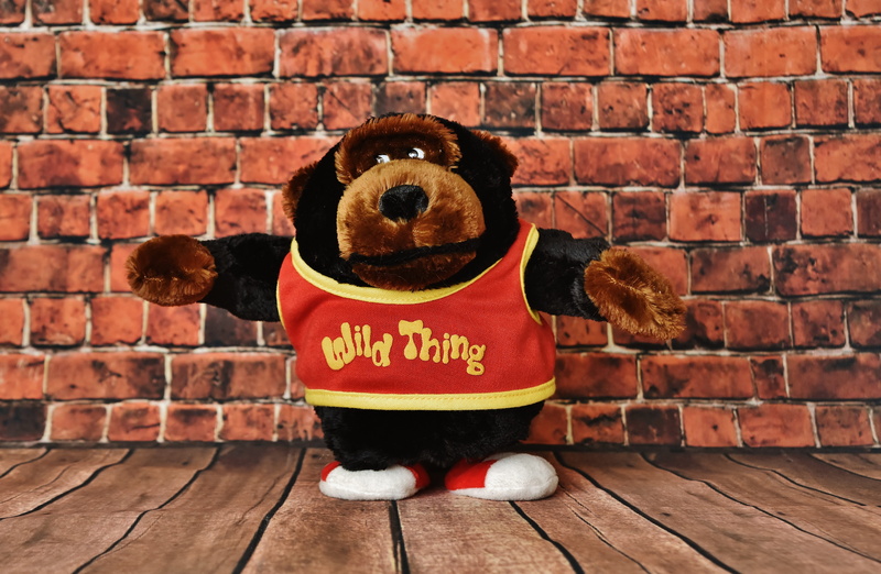 wall, monkey, text, western script, Soft Toy, Gorilla, brown, cute, brick, stuffed animal, wildthing, funny, 5K, backgrounds, humor, red, day, single word