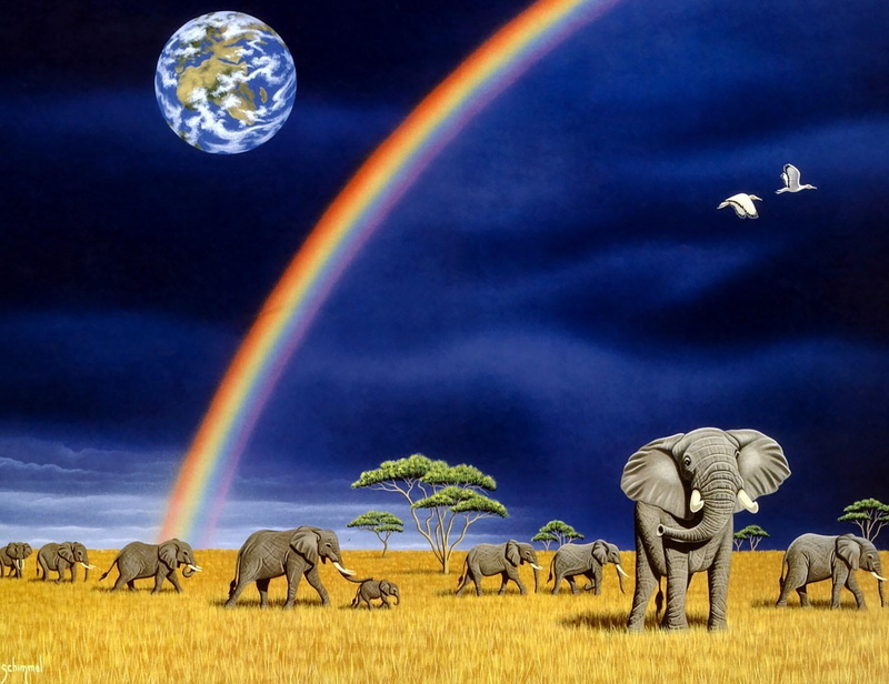 animals, rainbow, family, wild, animal, wlwphant, elephants, 1080P