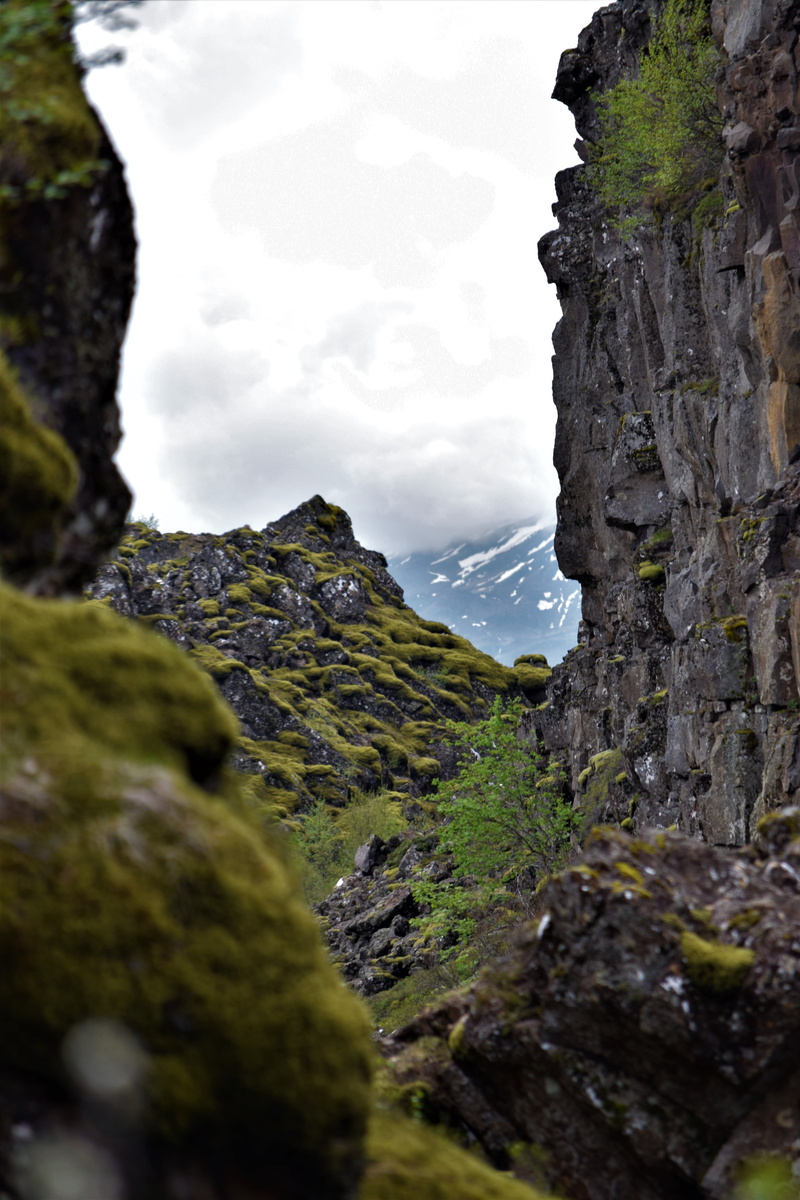 scenics - nature, remote, clouds, perspective, thingvellir, snow, mountains, iceland, tranquility, moss, althing, ancient, focus on background, stone, unesco
