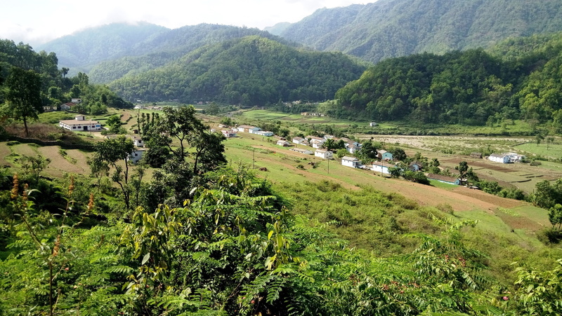 day, beauty in nature, tranquility, landscape, green, transportation, jungle, tree, non-urban scene, 2K, sunny, incidental people, hills, built structure