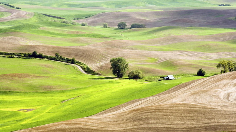 fields, road, 1080P, lscape, summer, nature and landscapes, cabins, trees, cultivated