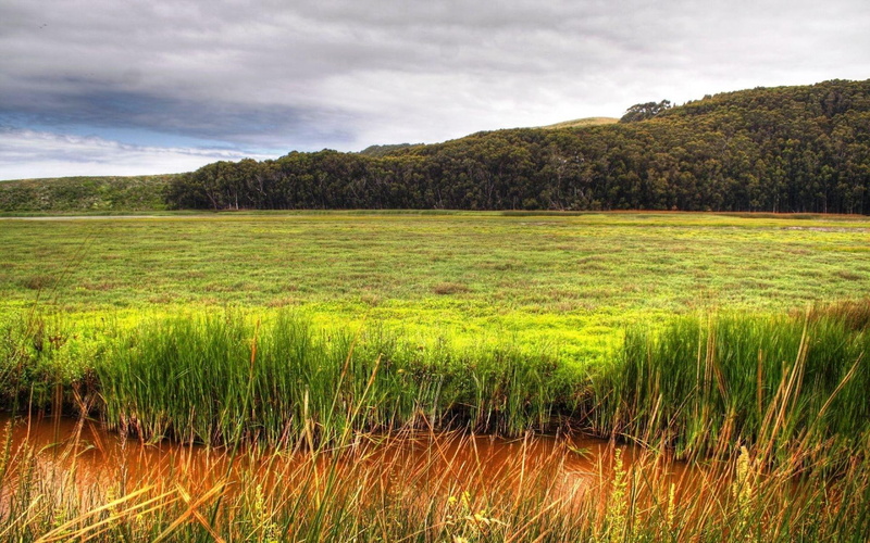fields, nature and landscapes, forest, clouds, cultivated, hdr, canal, 1080P, field