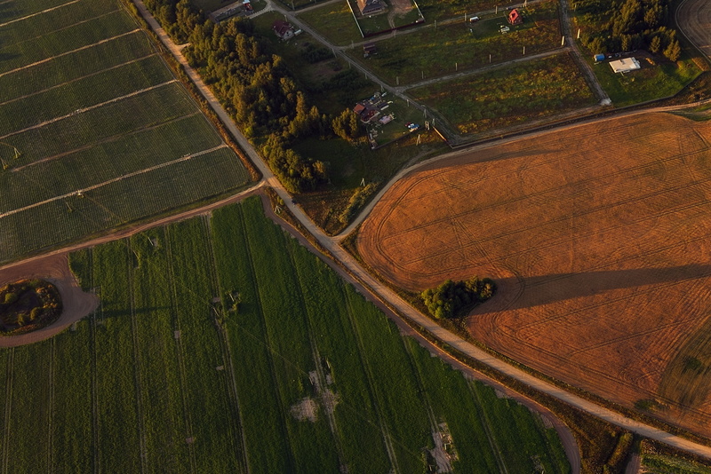 growth, tranquility, no people, plant, cultivated land, high angle view, land, rural scene, tranquil scene, sunset, green color, agriculture, landscape